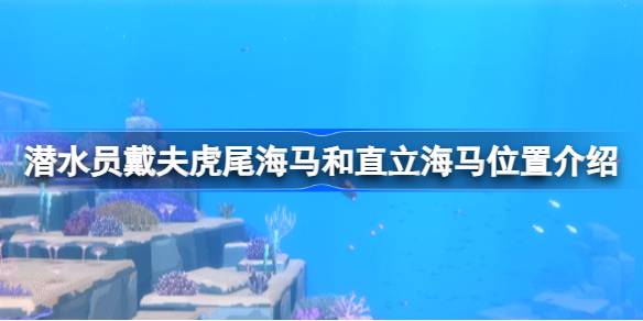 潜水员戴夫：虎尾海马和直立海马的寻找方法与位置指南