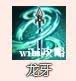 烟雨江湖云龙枪法全面解析：强度、玩法与修炼指南