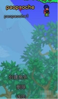 泰拉瑞亚联机全攻略