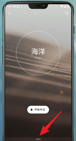 潮汐App专注模式开启全攻略