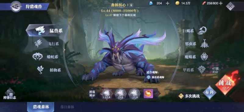 熊武魂魂环搭配与实战策略详解