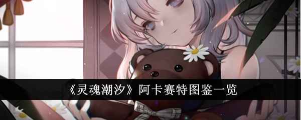 灵魂潮汐阿卡赛特深度解析：技能、培养与实战价值全面解析