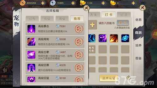 火王宠物技能培养策略：搭配与打书心得