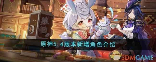 梦见月瑞希：稻妻梦境中的神秘五星风系法器角色深度解析