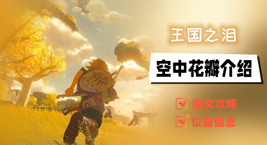 王国之泪空中花瓣怎么刷全攻略