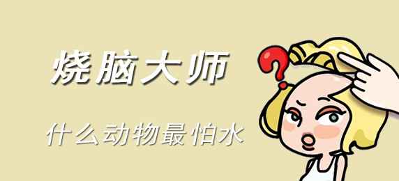 烧脑大师第三关答案：最怕水的动物是什么？