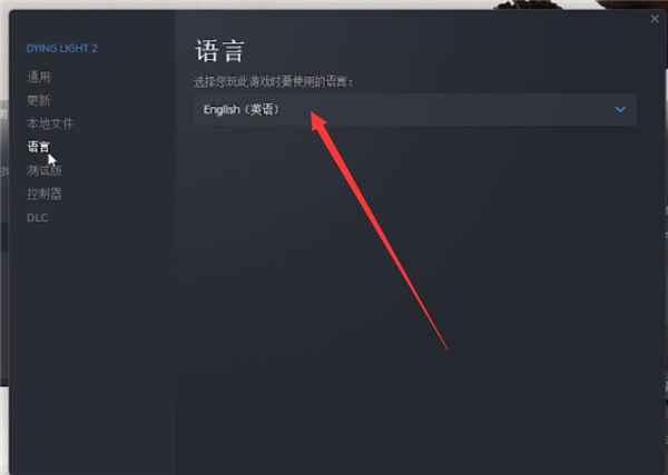 消逝的光芒2对话没声音怎么办？