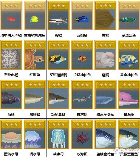 潜水员戴夫蓝洞入口三星鱼图鉴全解析：鱼类分布、抓捕技巧与完整指南