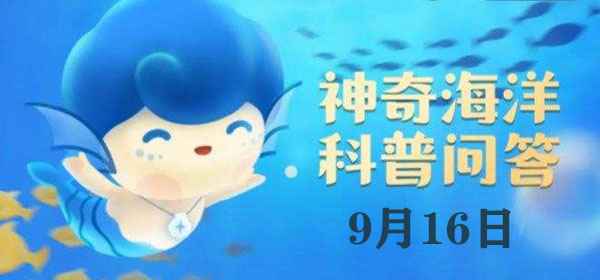 海洋鱼类的视力：近视眼的普遍现象与生存智慧