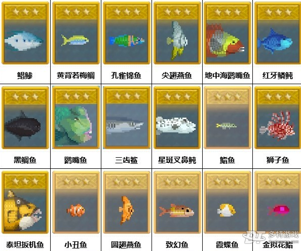 潜水员戴夫蓝洞入口三星鱼图鉴全解析：鱼类分布、抓捕技巧与完整指南