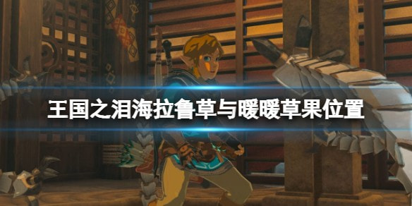 王国之泪暖草果采集全攻略