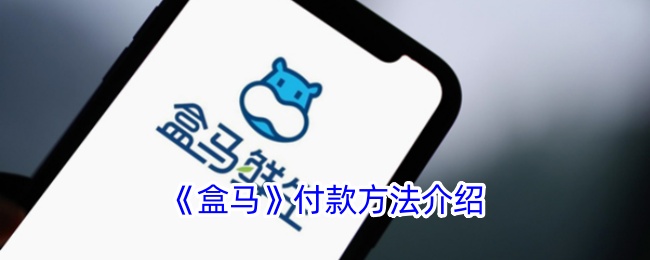 盒马APP付款全攻略：轻松搞定每一笔消费