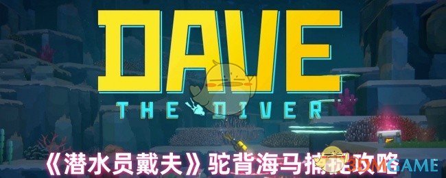 潜水员戴夫驼背海马捕捉全攻略：位置、网子获取及抓捕技巧