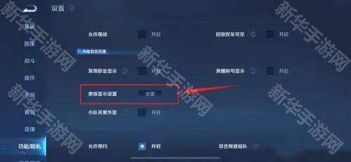 王者荣耀共享皮肤怎么弄？