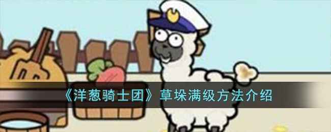 洋葱骑士团草垛满级全攻略