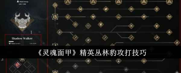 灵魂面甲精英丛林豹的打法策略