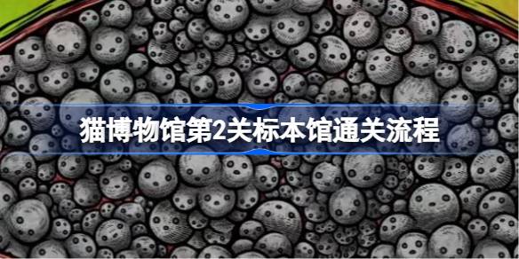 猫博物馆第二关标本馆通关指南：详细步骤解析