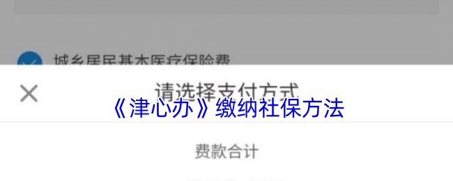 津心办社保缴费指南：简单步骤助你轻松搞定