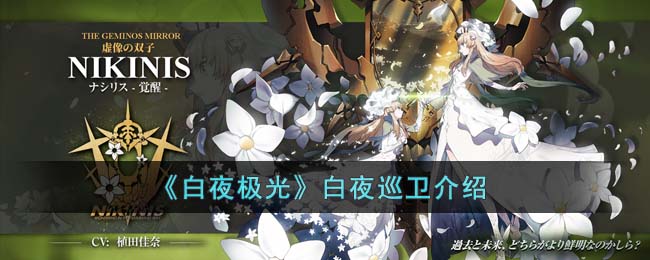 白夜极光的冒险：揭秘白夜巡卫的战斗技巧