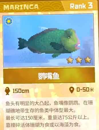 潜水员戴夫鹦嘴鱼怎么抓