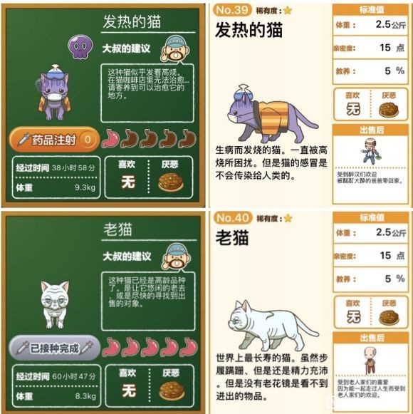 猫猫咖啡屋怎么喂猫粮