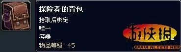 魔兽世界制皮匠的背包到底该怎么玩？