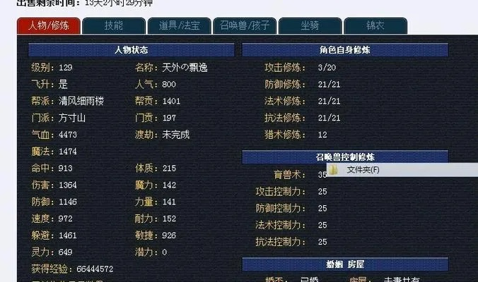 梦幻西游单人练级全解析,效率与技巧并存,从入门到精通