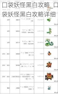 口袋妖怪黑白世界的奇妙冒险指南