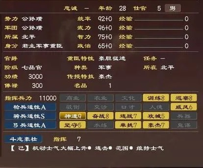 三国志13副将是否必要,带副将的战术价值分析,副将与主将搭配策略