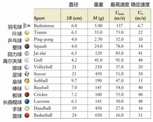 十大最难进入的球类运动,揭秘小众球类的参与门槛